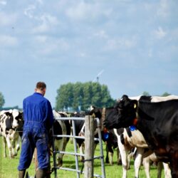 Nederlandse Logistiek Prijs 2024